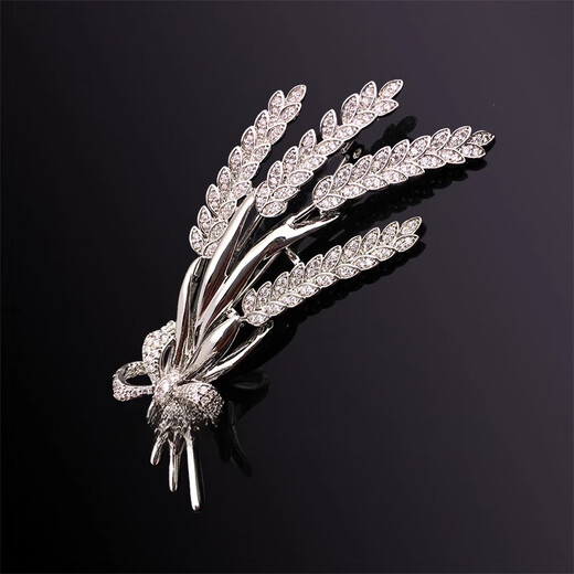 Shijun (SHIJUN) men's brooch men's suit luxury brand brooch brooch brooch brooch badge badge suit accessories high silver