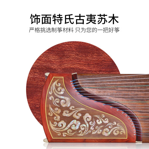 Dunhuang-Marke Guzheng 694LC-C Fünffarbig verheißungsvolles Wolkenmuster Teshi Antik