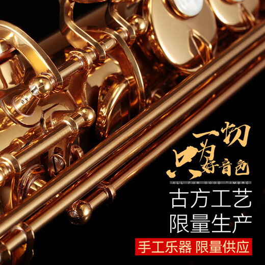 ROLLINS罗林斯萨克斯9902降b调直管高音萨克斯管乐器演奏款初学入门通用 9902高音-金色