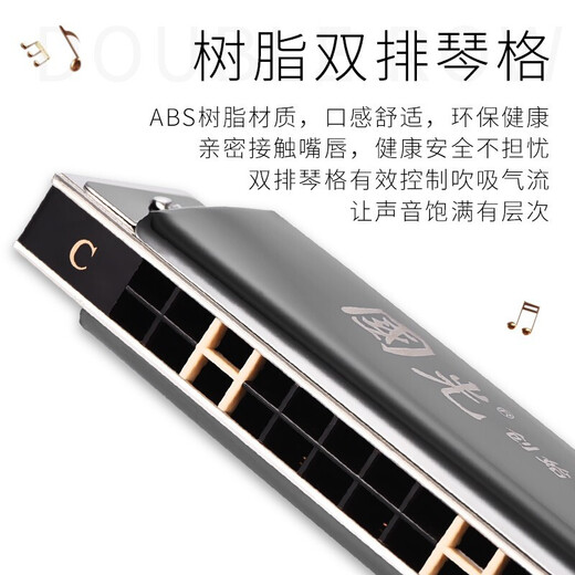国光上海国光口琴演奏级24孔复音C调初学者学生成人儿童入门乐器专业 24孔C调银色复音【演奏级】+赠品