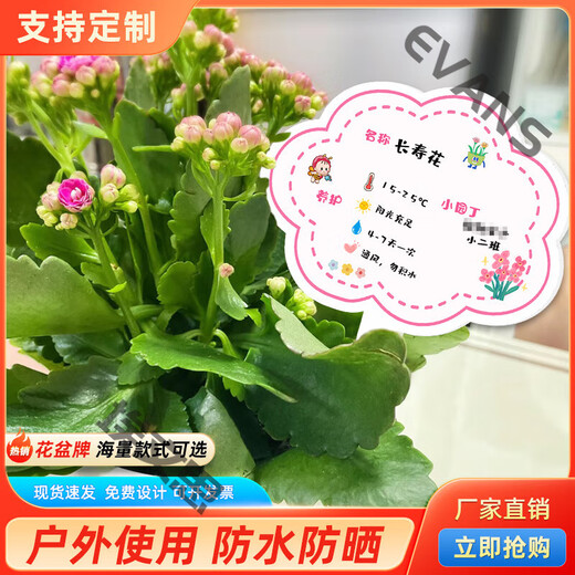 Xushansi Kindergarten Simulation Pot Brand Gardening Simulation Flower Pot Simulation Label Signage Succulent Conservation Brand DIY Handmade YHCD-28 10x16cm