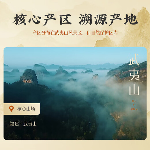 正山小种红茶武夷山桐木关正宗茶叶特级440g办公室口粮茶 送礼客户
