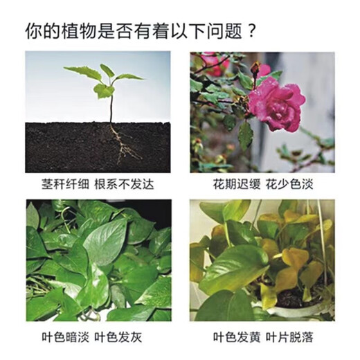 Yuntianhua Phosphate Fertilizer Granules Superphosphate General Flowering Fertilizer Household Fruit Tree Vegetable Green Plant Compound Fertilizer 100 Jin Jin equals 0.5 kg Phosphate fertilizer (high concentration) 3 Jin Jin equals 0.5 kg
