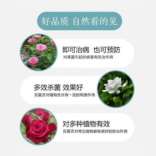 Plant carbendazim fungicide for flowers, special bactericidal flower spray, powdery mildew, anthracnose insecticide, single bottle 500ml with nozzle