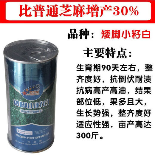 New Aerospace Overlord Whip Sesame Seeds High Oil High Yield White Sesame Seeds Hybrid Field Short Stem High Oil Containing Seeds Dwarf Small Seed White 150g/High Yield White Sesame Seeds