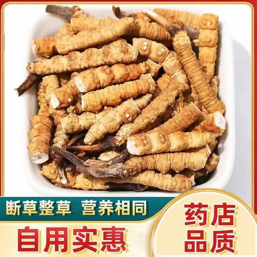 
Luzhangtang authentic Tibetan high-altitude fine cordyceps broken grass cordyceps broken grass Cordyceps self-eating buy 10 grams of 11 grams of 11 grams of buy Duohui Nagqu high-altitude meat festival in Tibet 1 grams of 1 grams of 1 grams of (less careful to shoot)
