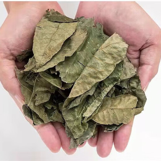 
Jiangxi Xiushui Wild Authentic Qingqian Liuyuan Leaf Tea Sugar Control Qingqian Liujin Liu Chinese herbal medicine health tea 500-year-old ancient tree Qingqian Liuyuan Leaf 250 grams Authentic Wild Xiushui Qingqian Liuyuan Leaf
