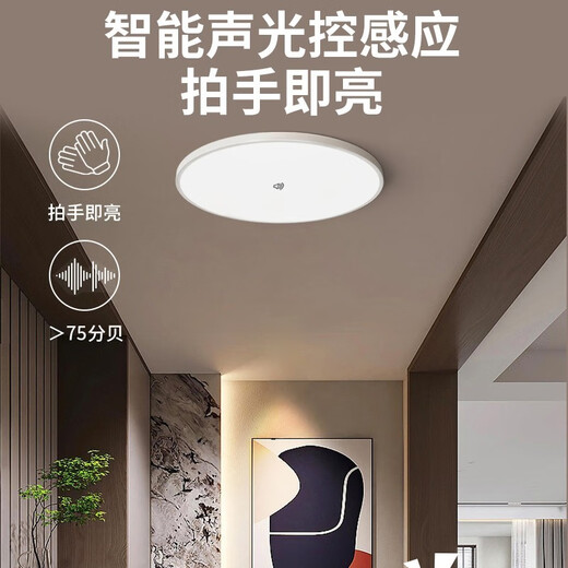 Shixia led three-proof sensor lamp voice-controlled human body sensor ceiling lamp radar sensor home stair aisle garage lamp 15W voice-controlled sensor 22*2cm