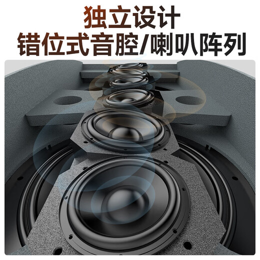 Shanshui (Sansui) F20 Home KTV Audio Set Home Karaoke Song Order Machine All-in-One Set Audio Karaoke Karaoke Jukebox Home Theatre Singing Home Full Set Audio 2 * Double 10 pouces + amplificateur haute puissance + 20 pouces 2t Machine de commande de chanson 2T