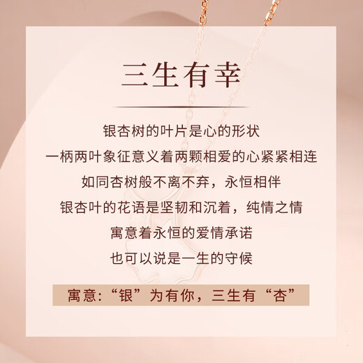 DAISY DREAMS 999 Silver Sansheng Lucky Necklace Feminine Ginkgo Leaf Pendant Clavicle Chain Chinese Valentine's Day Gift for Girlfriend and Wife 999 Silver Sansheng Apricot Necklace