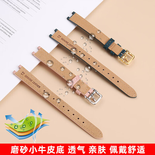 Zhuo Lei está adaptado a Coach Park Small Green Watch 14503534/3894 Women Smitch de cuero de tamaño pequeño Correa Oliva sin hebilla Ancho: 12 mm