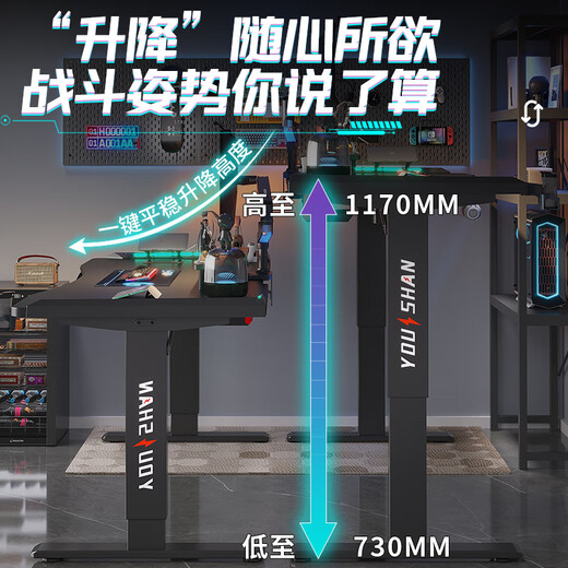 Jenica Smart Lift Computer Desk Home Office Desk Carbon Fiber Desktop Computer Desk Lighting Atmosphere E-Sports Game Desk Future Armor-Carbon Fiber Single Motor 120*60