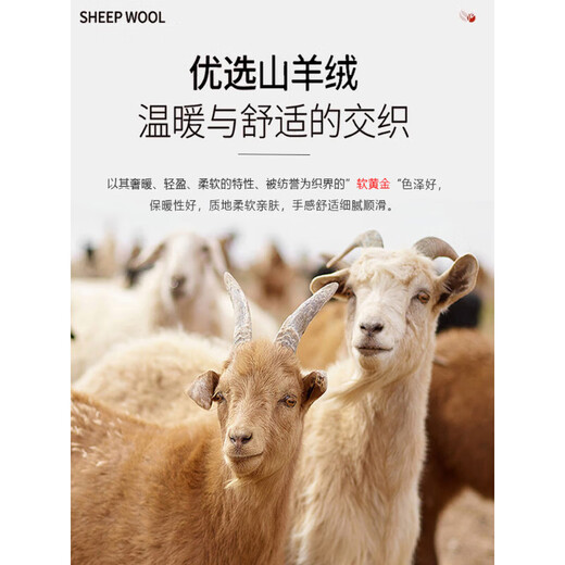 MONTAGUT high-end cashmere sweater men's autumn and winter middle-aged brand round neck solid color long-sleeved T-shirt wool base gray green 04 M 165