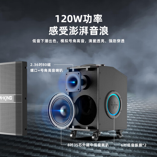 Weirjing K21SE singing karaoke speaker professional equipment outdoor karaoke special musical instrument performance live broadcast internal recording 120W high-power pull rod large field large volume Bluetooth speaker Xingyuehong