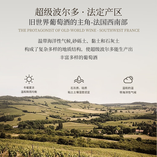 LOUIS LAFON French original bottle imported red wine 15% super Bordeaux N99 dry red wine 750ml*2 bottles New Year gift box