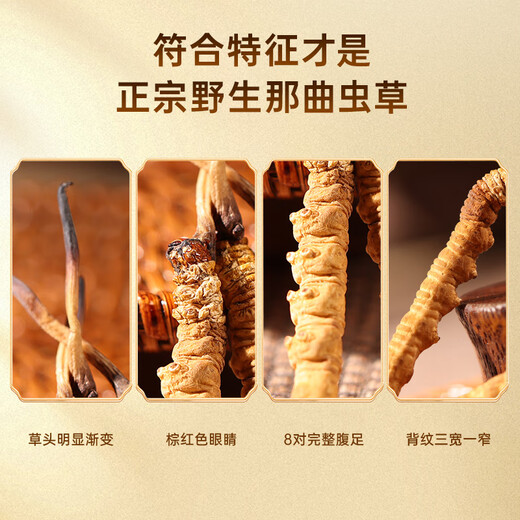 Caja de regalo de alta gama de Yuanjiang Grass Tíbet Nagqu Cordyceps Tonic Nutricional Productos nutricionales para padres y ancianos [Naqu Wild] 4 Roots/G 20g Caja de regalo de corteza