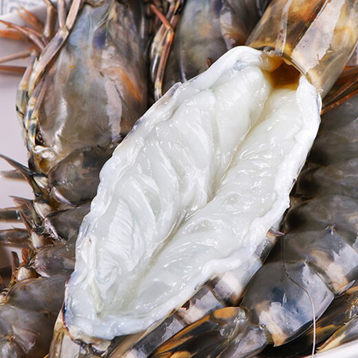 特大黑虎虾活冻大虾鲜活虾类新鲜速冻海鲜水产巨型老虎虾斑节竹九 3盒装 1350g(净重)  【10只/盒】20厘米左右