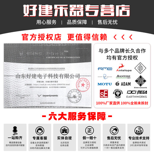 Yitong Technology Baiya DT770 880 990PRO 770 Prox Baiya Professional Monitoring Harpet High Analysis Harpet DT770 Pro 80 Black Limited Edition