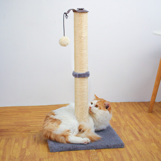 Tangqi Cat Climbing Frame Cat Rack Tongtian Pillar with Cat Nest Integrated Small Cat Scratching Post Cat Scratching Rack Cat Scratching Board Sisal Rope Grinding Claw Vertical Cat Funny Toy Necessary Cat Supplies for Cat Raising Gray Heightened Sisal Post