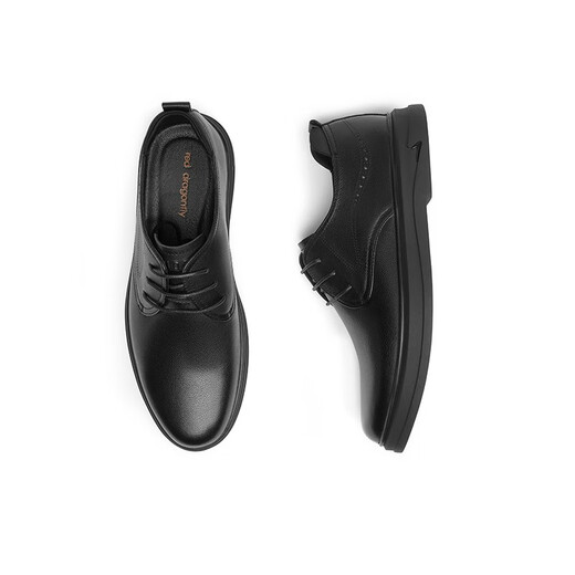 Red Dragonfly Leather Shoes Men's New Business Leather Shoes Men's British Style Casual Men's Leather Shoes Commuter Low Top Men's Shoes WTA12127 Black (WTA12127) 44