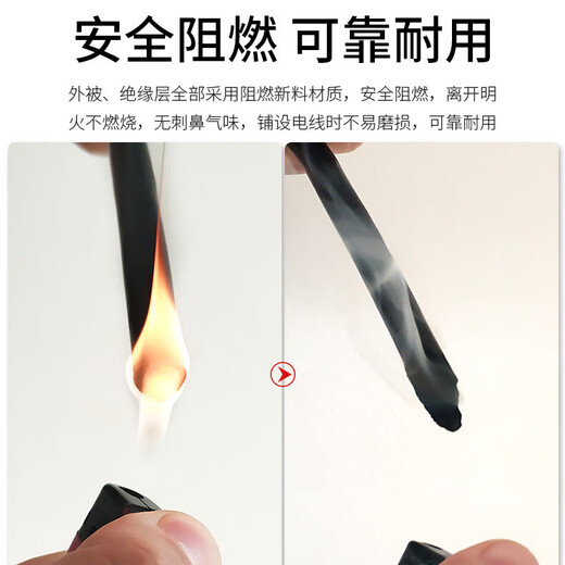 Dingxian Draht und Kabel RVV2*2,5 Quadrat 2,5 Quadrat Kupferkern 100 Meter nationaler Standard Kupferdraht ummantelter Draht weicher Draht flammhemmendes sauerstofffreies Kupfer