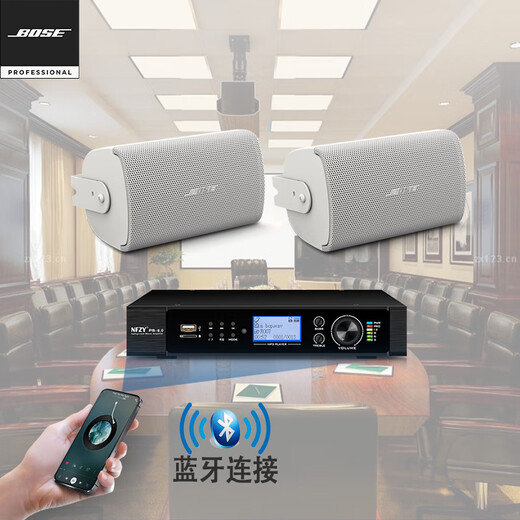 Bose DM2C-LP吸顶 FS2SE壁挂音箱 博士商用家庭蓝牙背景音乐套装 FS2SE白*2 + PS-6.0功放