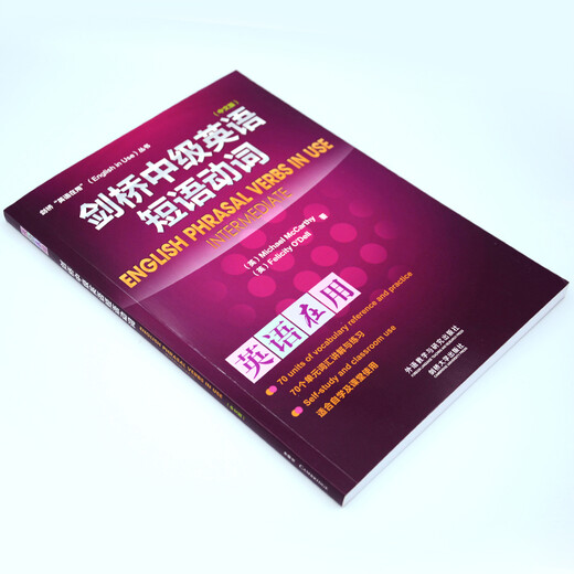 剑桥中级英语短语动词（剑桥“英语在用”English in Use丛书 中文版）