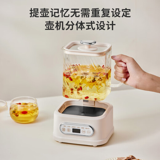 BASSENS small square stewed all-glass health kettle, tea kettle, 1L kettle, thermostatic kettle, baby, maternal and infant grade material, mini tea kettle, office boiling water BS-D1plus-HS