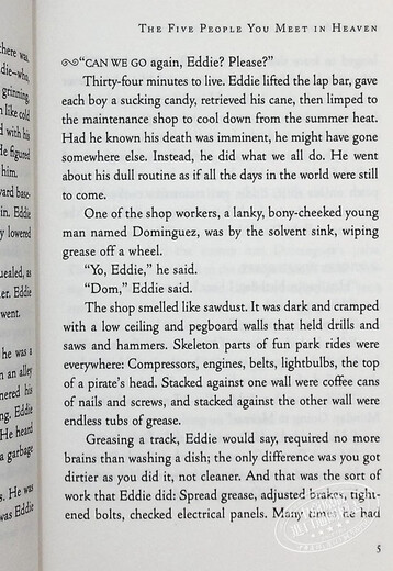 天堂里遇见的五个人 20周年版 The Five People You Meet In Heaven 英文原版 Mitch Albom