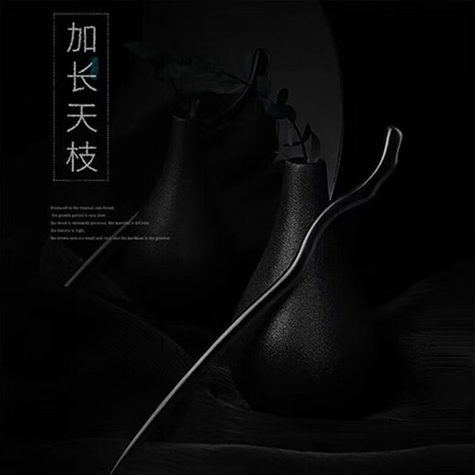 Xiang Princess Ancient Style Hairpin Simple Hairpin Imitation Black Sandalwood Modern Wooden Hairpin Daily Hairpin Wood Handmade Hairpin for Women Blackwood Tianzhi