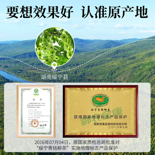 神农金康 青钱柳茶叶【绿色食品】 金钱柳嫩叶 深山老树嫩叶 养生茶