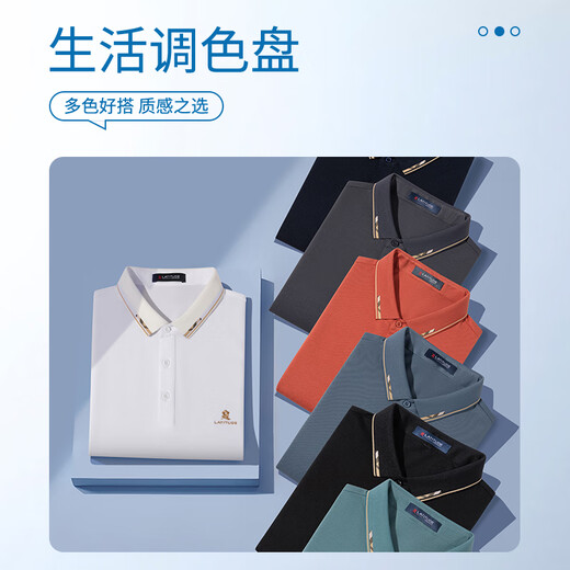 MONTAGUT summer men's Polo shirt with mulberry silk business embroidery casual versatile T-shirt silver gray 52