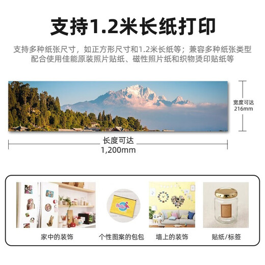 佳能（Canon）g3820/g3860无线彩色连供式喷墨家用商用办公打印机复印扫描一体机 G3860【打印/复印/扫描】