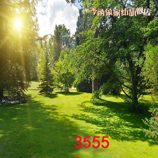 主播直播间室外夜间风景路灯农村小路风景布3d立体网红直播背景布 1.5米宽2米高 3519