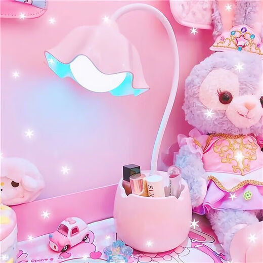 湖绵台灯学习少女心学生宿舍可充电插电可爱笔 可爱笔筒 粉色花朵