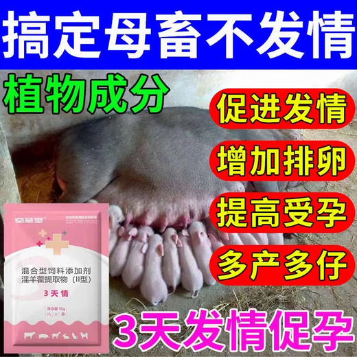 Luan Magnetic Sow Hair Qing Veterinary Use to Promote Pregnancy and Promote Emotion Sows Do Not Have Hair to Promote Pregnancy and More Litters Sow Health Feed Added Sow Hair Qing 1 Bag 50g
