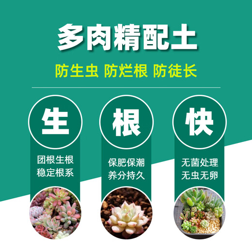 Flower Master Succulent Nutritional Soil Special Granular Soil Succulent Soil Potted Planting Soil for Seedlings and Old Piles Breathable Soil Luxurious Succulent Soil 5Jin Jin is equal to 0.5kg, universal for seedlings.