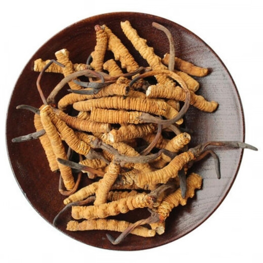 雄风道【处理10克-100克断草】冬虫夏草断虫草大断草正宗冬虫夏草断草实 虫草40克