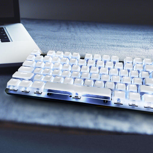 罗技（Logitech） K845 有线机械办公键盘 游戏电竞 朋克复古键盘外设电脑笔记本节日礼物 diy个性键帽 K845（青轴）+白巧克力键帽