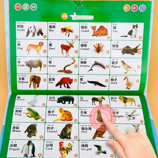 Baby sends audio books for children to read early education machine Chinese and English enlightenment word recognition number pinyin reading book