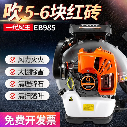 Stiefel-Treibhaus-Schneegebläse Feuerwehrleiter Feuerlöscher Staubgebauungsstelle Gebläse Hochleistungs Hochleistungs-Zwei-Takt-High-End-EB9757,0 PS