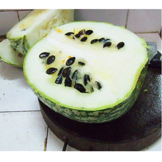 Grafted rootstock black pumpkin seeds grafted seeds black pumpkin seeds rootstock seeds black pumpkin seeds black seeds 250 grams