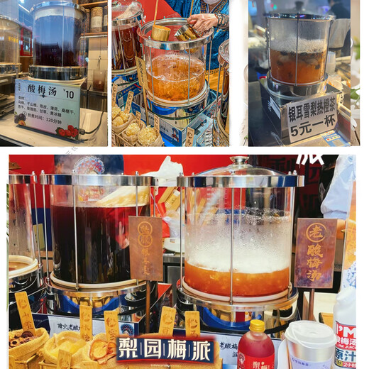 Chuwei Tiancheng commercial large-capacity hanging pear soup machine sour plum soup beverage machine multi-functional 20L30L explosion-proof glass hot drink stewing machine 20L (37*37*65cm)