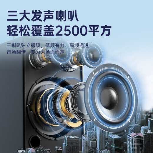 Xinke T30 square dance audio outdoor high-volume trolley Bluetooth speaker three-speaker heavy bass wooden box home karaoke mobile stall 12-inch dual microphone