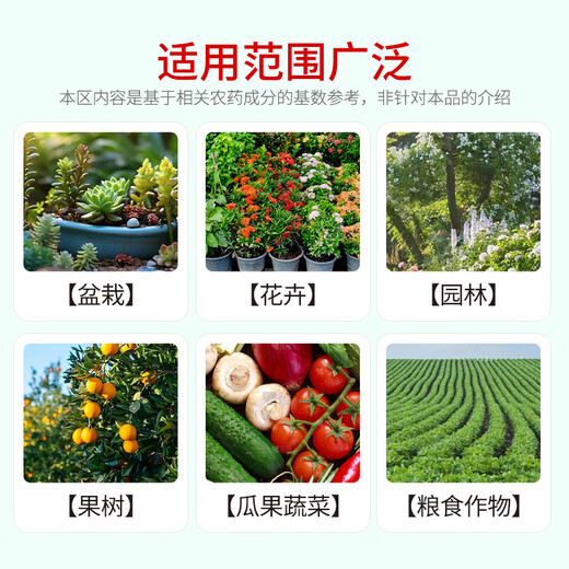Health Care 8% Aminobutanol Large Colored Wheat Rice Fruit Tree Grape Pepper Flower Preserving Fruit Pesticide Plant Growth Regulator
