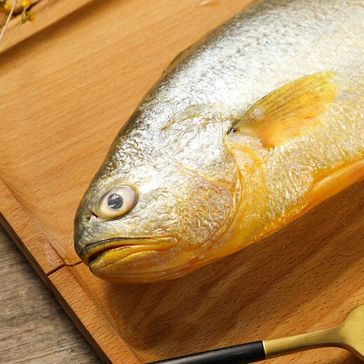 Ningde chilled yellow croaker directly picked from the origin 400g-500g/piece