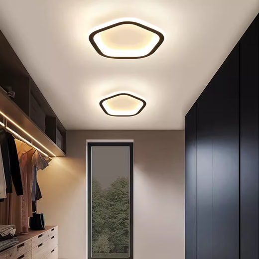 祎琳LED吸顶灯现代简约阳台过道走廊衣帽间入户玄关小灯长条灯具 五边20cm20w/白光