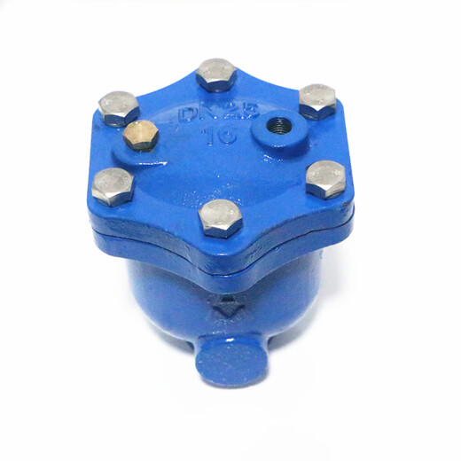 Amico micro soupape d'échappement 9708 corps en fonte pièces internes en acier inoxydable échappement automatique WP1X installation verticale échappement général 15-50 2 pouces micro soupape d'échappement DN50