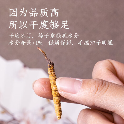 Тибетские Qingyuan Cordyceps Sinensis Tibet Nagqud Cordyceps подарочная коробка с сушеными товарами cordyceps sinensis 5 корней/g 250 корней 50 грамм всего