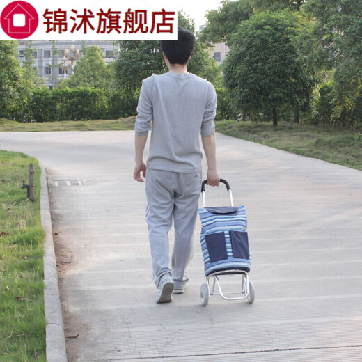Aluminum alloy lightweight foldable hand trolley small trailer cloth bag cart station wagon Old man shopping cart to buy Oxford cloth cart Y1